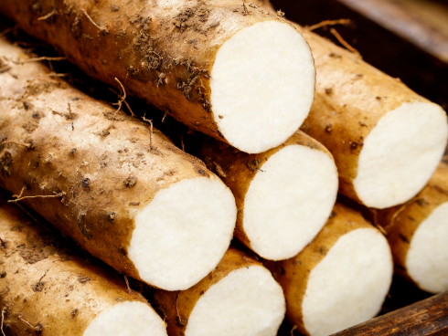 肾气亏虚怎么办？推荐1碗汤，把亏虚的肾气补回来！