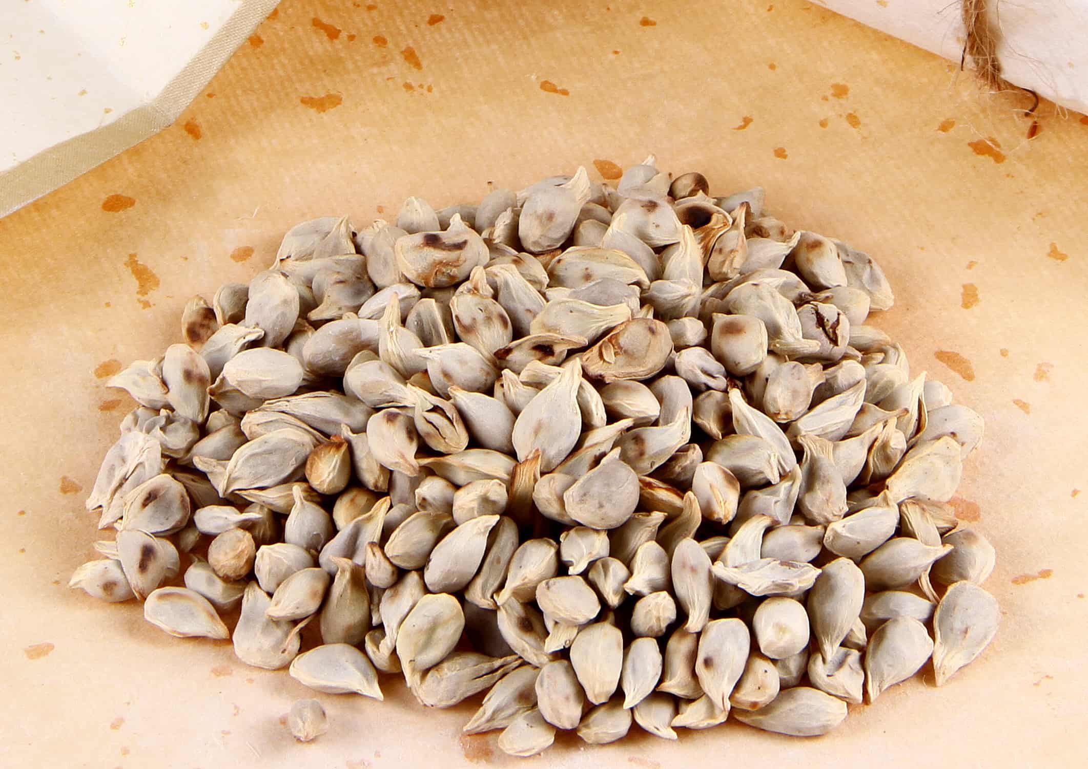 晚期膀胱癌有什么症状