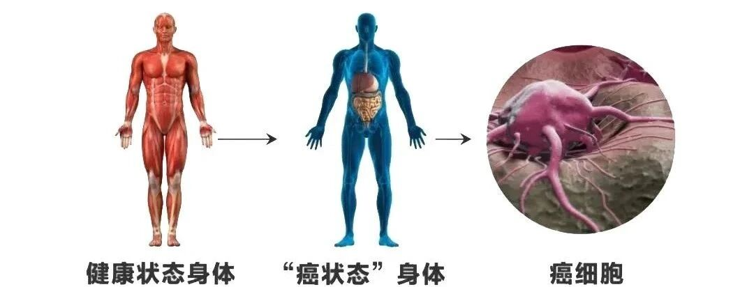 为什么癌细胞会扩散转移？不想癌症扩散转移有3点要注意！